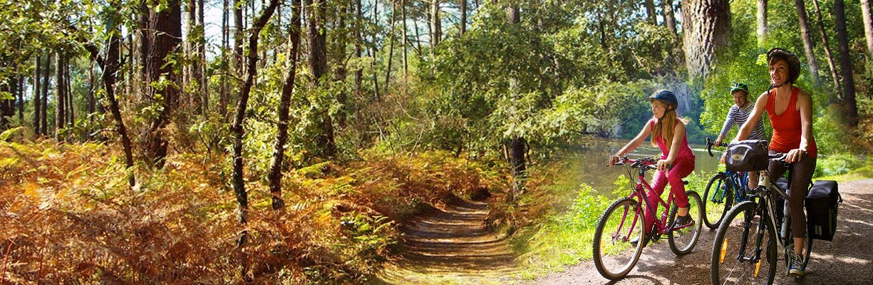 Promenade en forêt...